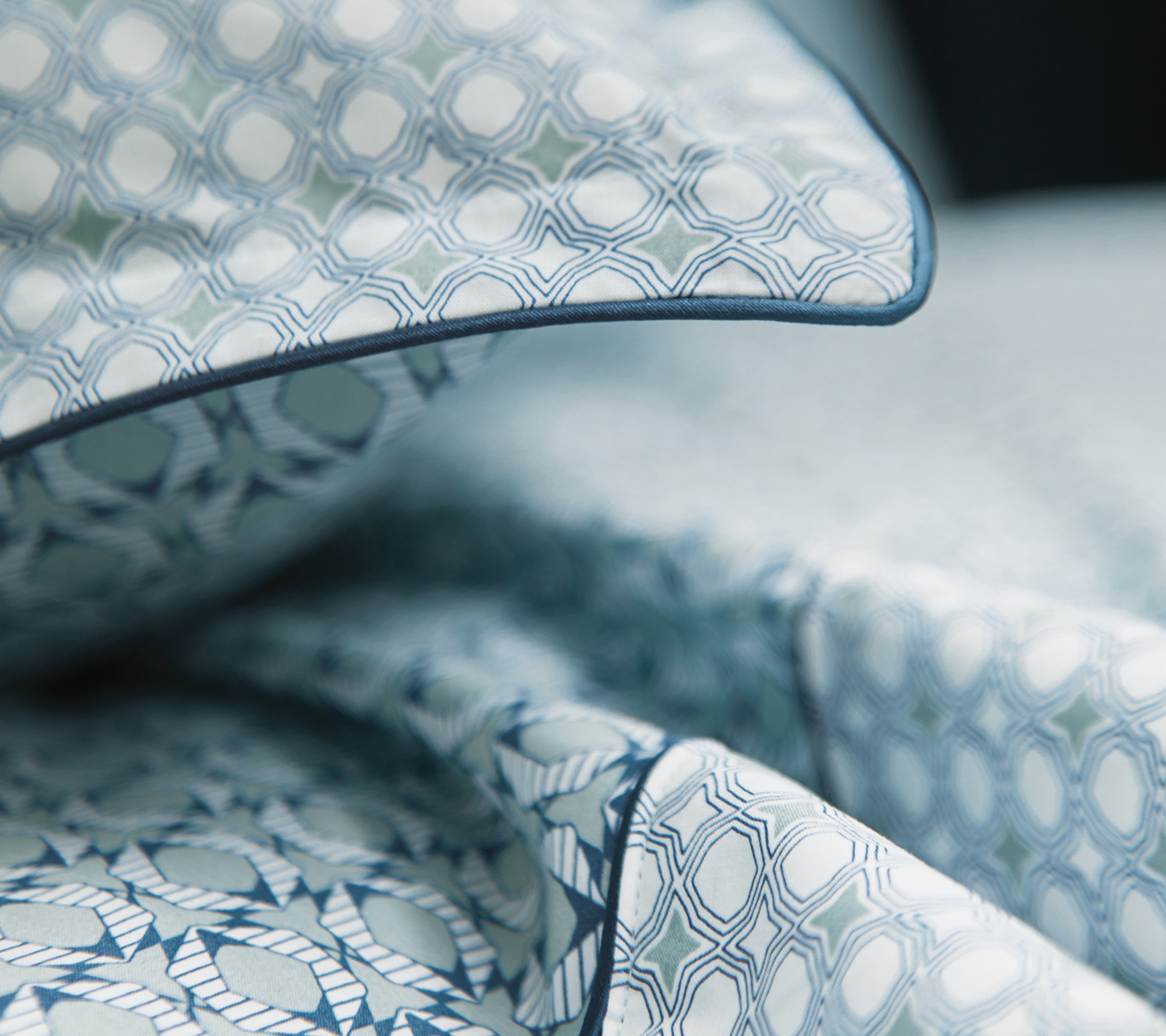 Постельное белье Blanc des Vosges Dandy Sauge евро 200х220 перкаль