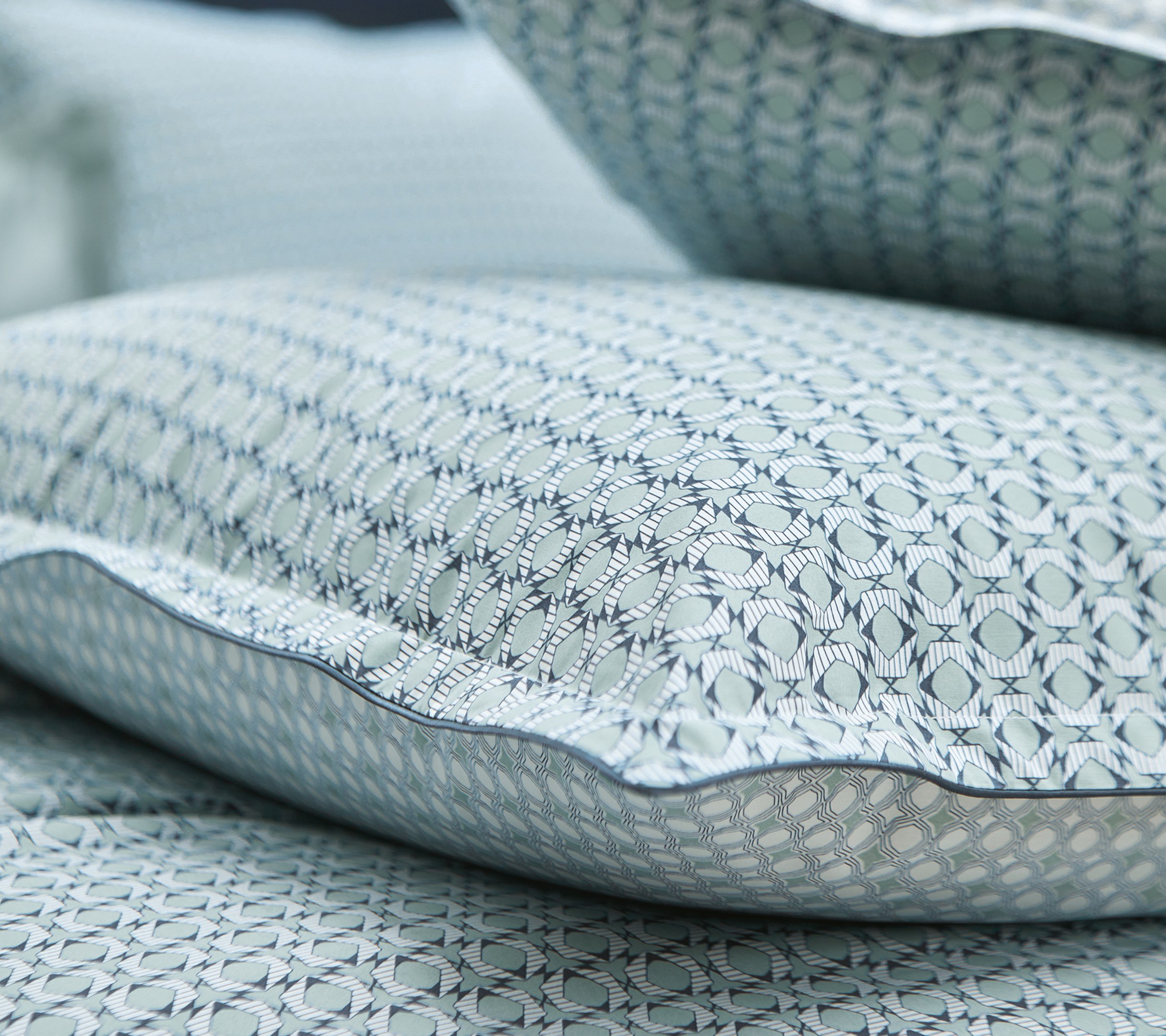 Постельное белье Blanc des Vosges Dandy Sauge евро 200х220 перкаль