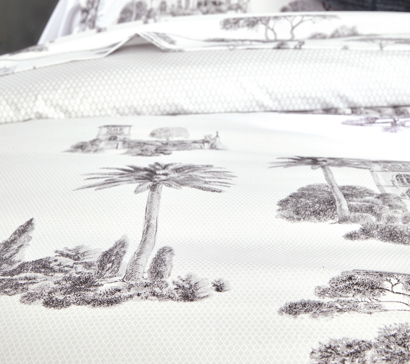 Постельное белье Blanc des Vosges Promenade Graphite евро 200х220 перкаль