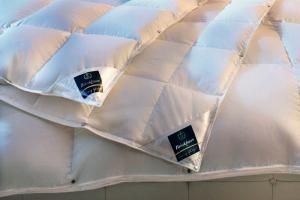 Одеяло пуховое Brinkhaus Chalet 155x220 всесезонное - основновное изображение