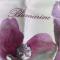 Постельное белье Blumarine Fleurette Ribes евро+ 200х240 мако-сатин - фото 1
