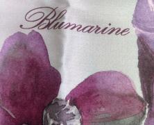 Постельное белье Blumarine Fleurette Ribes евро+ 200х240 мако-сатин - фото 1
