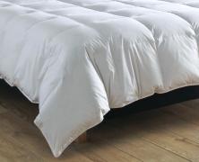 Одеяло пуховое Blanc des Vosges Hotel Particulier 200х200 зимнее - фото 2