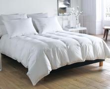 Одеяло пуховое Blanc des Vosges Hotel Particulier 140х200 зимнее - фото 1