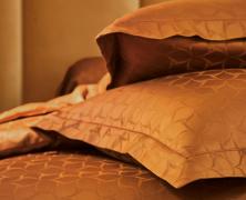 Постельное белье Blanc des Vosges Eole Cognac евро 200х220 сатин-жаккард - фото 2