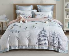 Постельное бельё Asabella 2271N-7 семейное 160x220 фланель 100% хлопок в интернет-магазине Posteleon